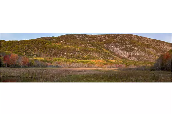 USA, Maine. Autumn foliage near The Beehive, Panoramic, Acadia National Park