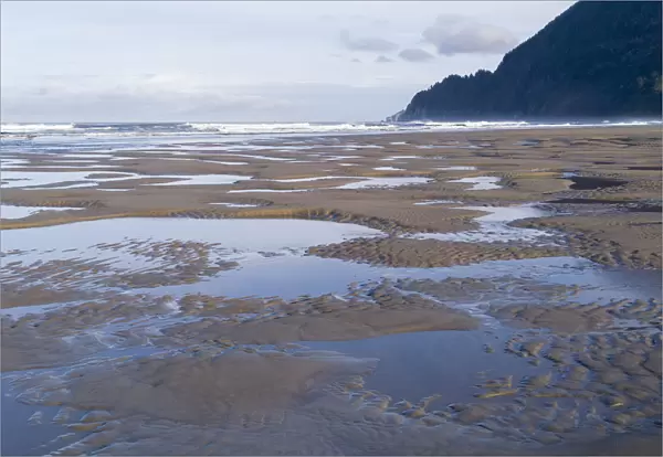 USA, Oregon, Manzanita. Reflections in beach tide pools
