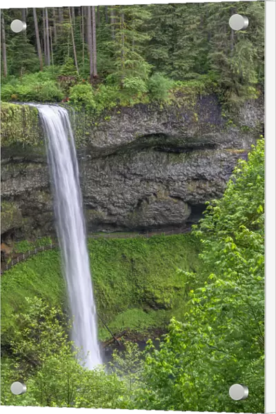 USA, Oregon. Silver Falls State Park, spring flow of South Fork Silver Creek plunges