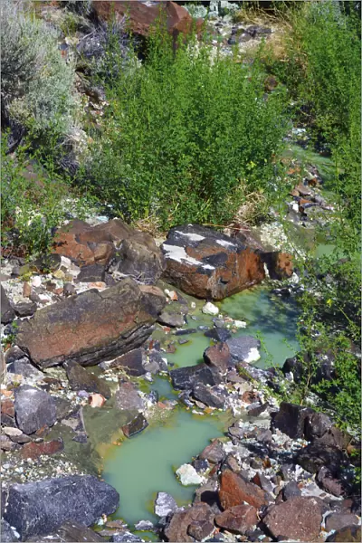 Colorful rocks, chalky blue-green pool, Blue Basin, Blue Basin Area, Oregon, USA