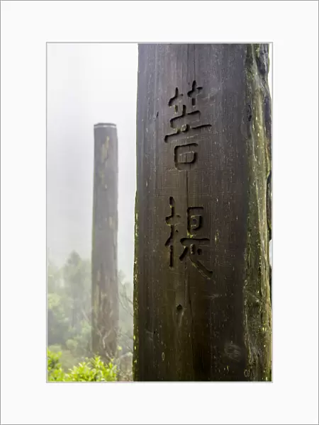 Tall wooden steles at the Wisdom Path, Lantau Island, Hong Kong, China