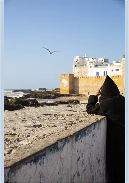 Essaouira, Morocco. Watching the sea and a seagull