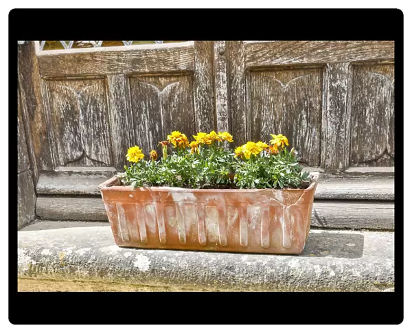 France, Saint-Cirq Lapopie. Flower box on a doorstep