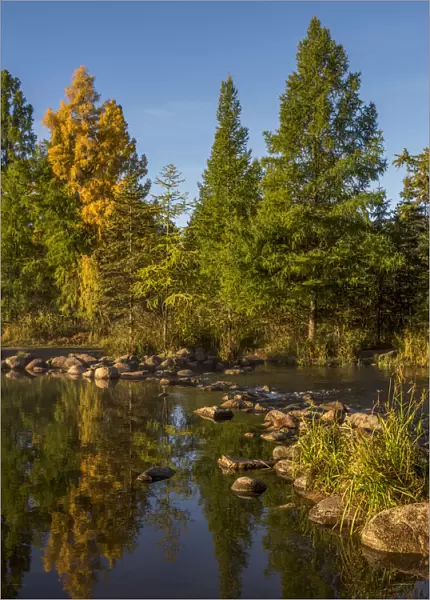USA, Minnesota, Itasca State Park