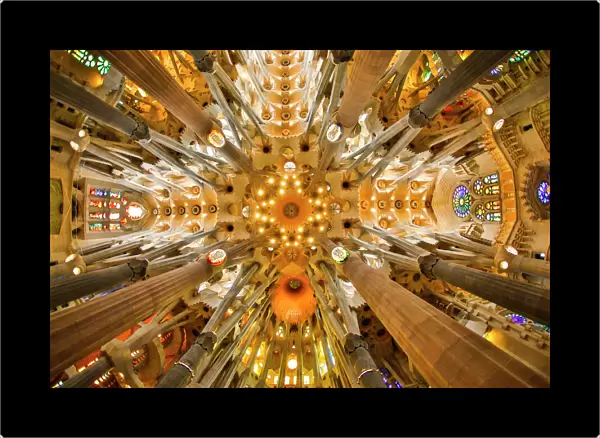 Spain, Barcelona. Sagrada Familia ceiling
