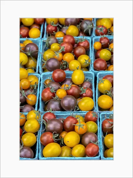Heirloom cherry tomatoes, USA