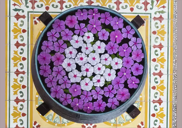 Asia, Vietnam, Mui Ne. Pink and white flowers floating on water in a large pot