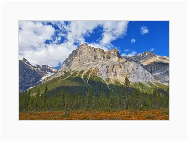 Canada, Alberta, Yoho National Park. The President Range mountain landscape