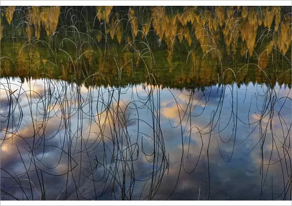 Autumn reflections in Spencer Lake near Whitefish, Montana, USA