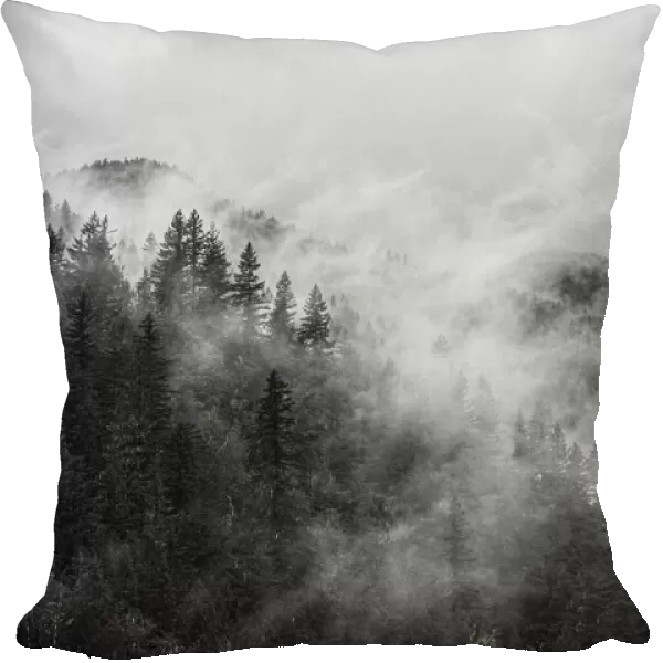 North Cascades Mountains, foggy mountain