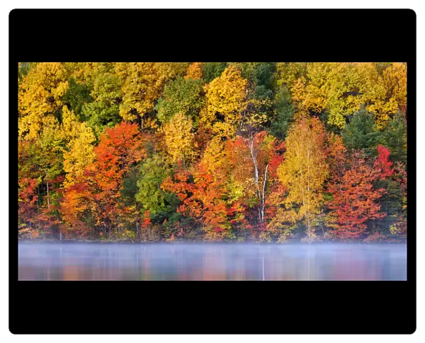 USA, Michigan, Upper Peninsula, Autumn fog and reflections on Moccasin Lake