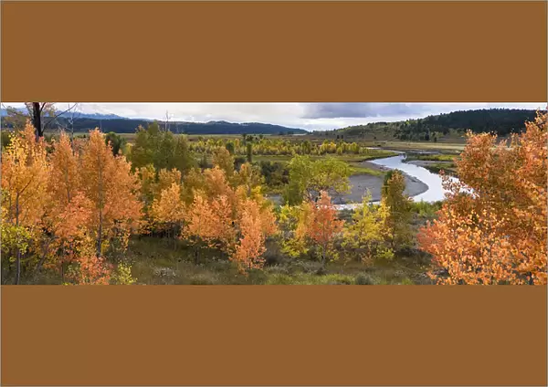 USA, Wyoming. Panoramic. Colorful autumn foliage with river, clouds, and mountains