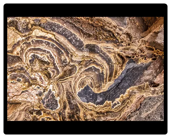Marble Abstract, Titus Canyon, Death Valley