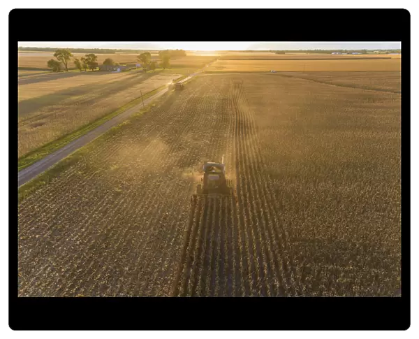 Aerial view of combine harvesting corn field at sunset, Marion County, Illinois