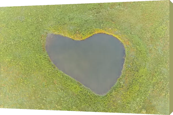 Heart shaped pond, Marion County, Illinois