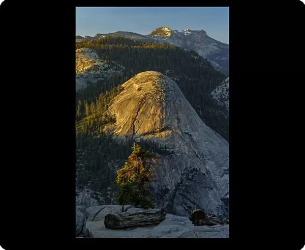 View of North Dome from Glacier Point at sunset, Yosemite National Park, California