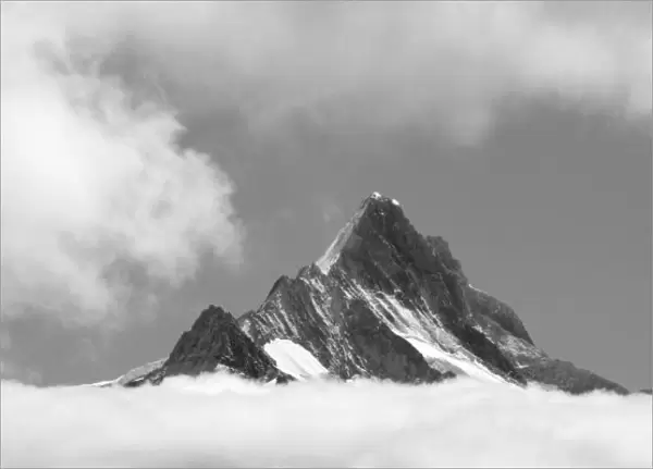 Shreckhorn summit, 3741 m. from Faulhorn, Bernese Alps, Switzerland