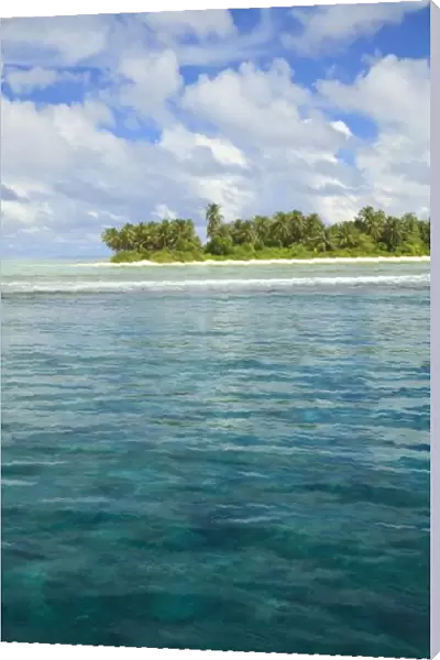 Ari Atoll, The Maildives, Indian Ocean