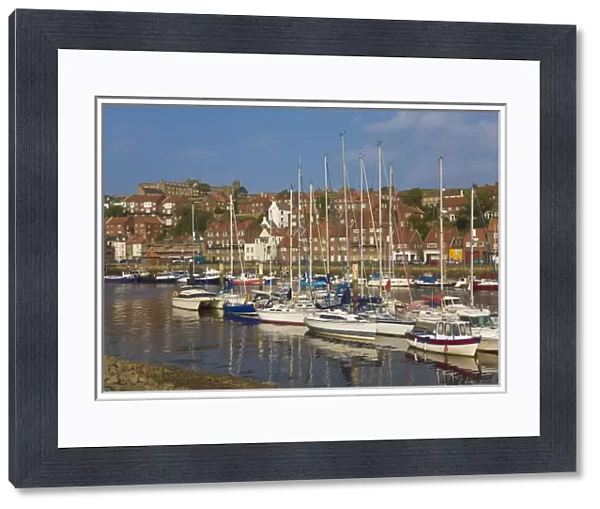 Harbour, Whitby, North Yorkshire, England