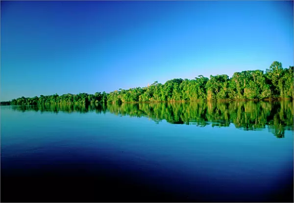 Juruena, Brazil. Forested river bank reflected in the water with no clouds in the sky