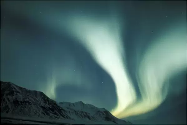 USA, Alaska, Gates of the Arctic National Preserve Northern lights (Aurora borealis)