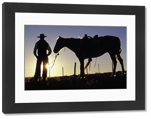 N. A. USA, Oregon, Seneca, Ponderosa Ranch, Cowboy and horse sillouette (MR)