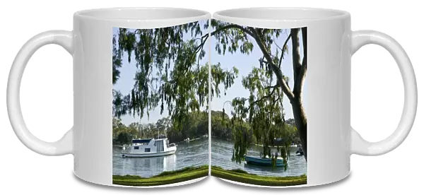 Australia, Queensland, Sunshine Coast, Noosa. Along the Noosa River  /  Morning