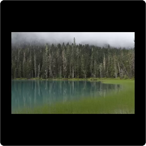 Blue glacial lake in an evergreen forest, British Columbia, Canada