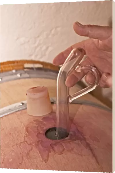 A wine sampling pipette taking a sample from a barrel, silicon bung plug, hand with
