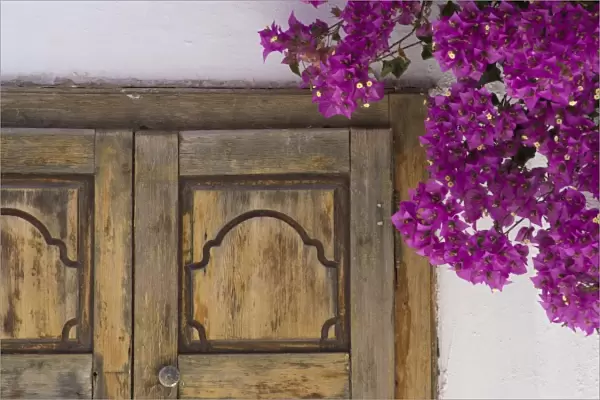 Greece, Mykonos, Hora. Part of wooden doorway and bougainvillea
