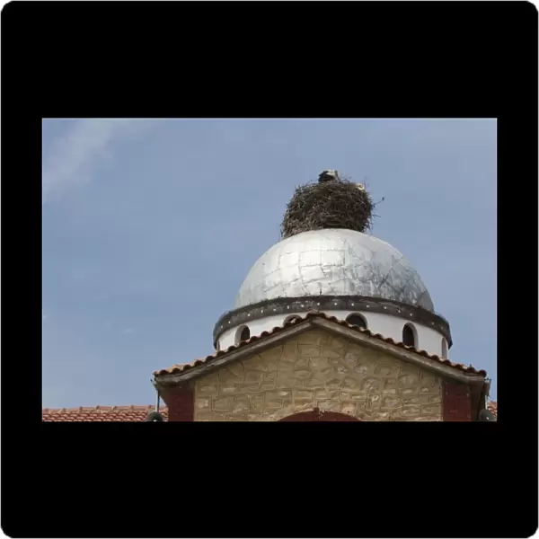 Greece. Stork nest on church dome