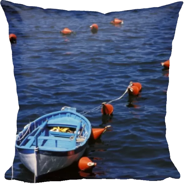 Europe, Italy, Cinque Terre. Rowboat and buoys