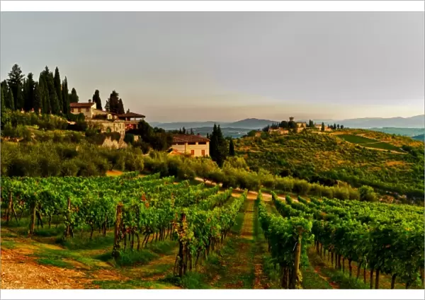 Italy, Tuscany, Greve. Dawn on Castello di Verrazzano estate