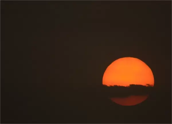Sunset. Velavadar National Park. Gujarat. SW INDIA