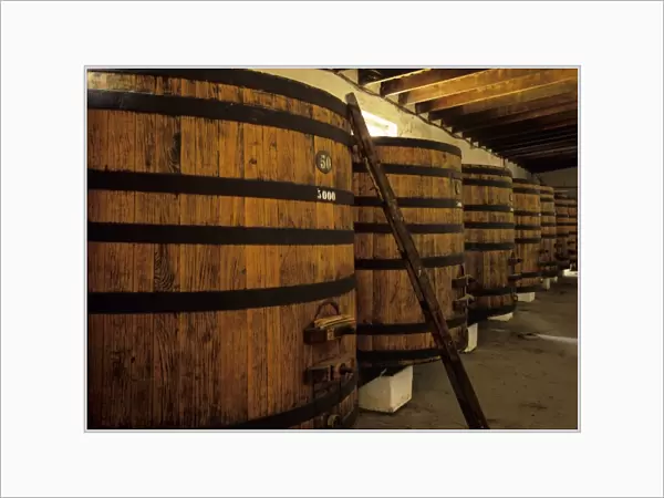 South America, Uruguay. Fine wine ages in huge oaken casks in a cool wine cellar