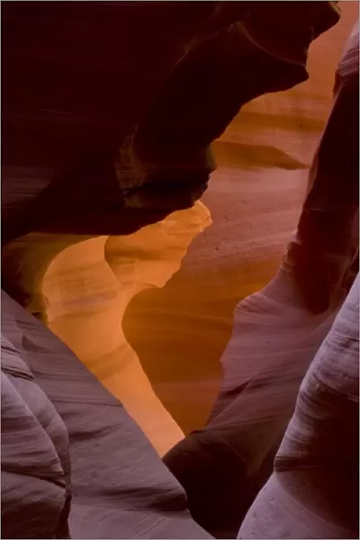 USA, Arizona, Navajo Tribal Lands. Reflected sunlights creates amber walls in Slot Canyon X