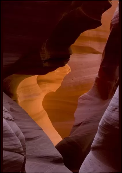 USA, Arizona, Navajo Tribal Lands. Reflected sunlights creates amber walls in Slot Canyon X