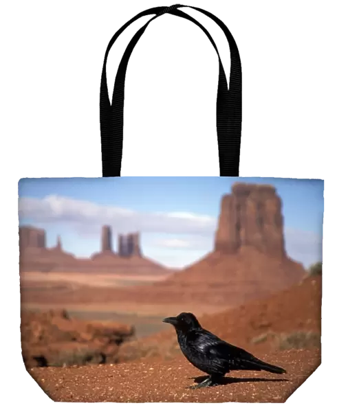 Raven sitting in front of Monument Valley background