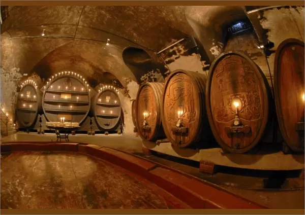 Europe, Germany, Bavaria, Wurzburg, Bishops residence, wine cellar tour