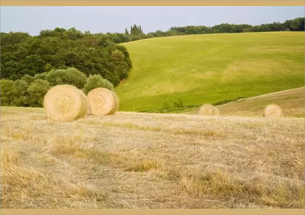 Hay Roles on The Tuscan Hillside