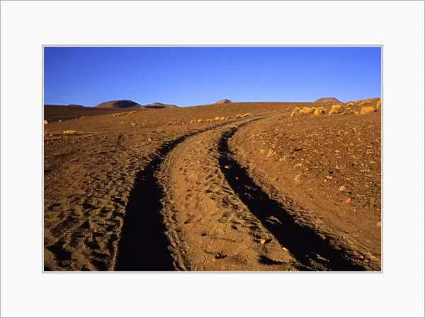 Bolivia, Uyuni, Tire tracks lead off into the desert on the Southwest Circuit Tour