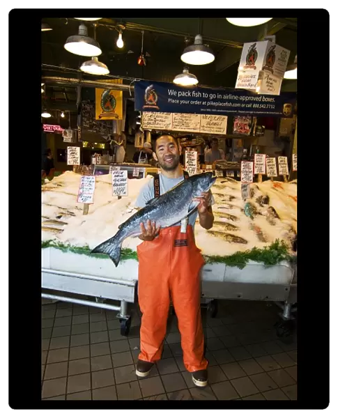 USA, Washington State, Seattle. Fish merchant with large Chinook or King salmon at