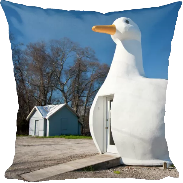 USA, New York, Long Island, Flanders. The Big Duck, area known for its duck farms