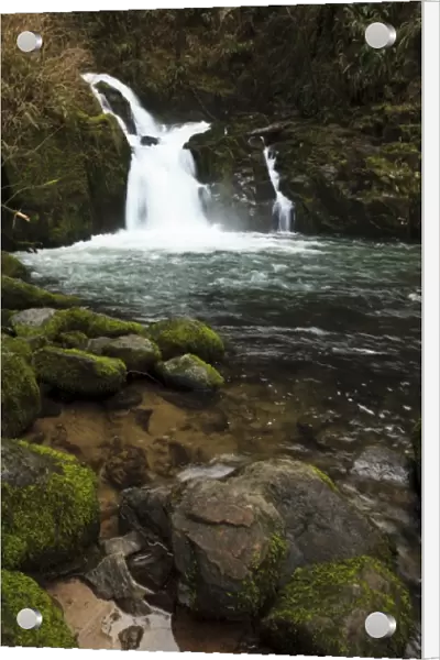 USA, Oregon, Siuslaw National Forest, Sweet Creek Falls