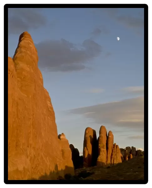 Sunset light and rock fins in north end of Arches National Park, UT, with moon in sky