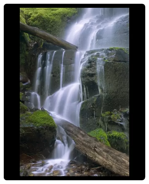 Fairy Falls, Columbia River Gorge, Oregon, USA