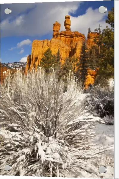 Fresh spring snowfall coats the red rocks and hoodoos at Red Canyon in the Dixie