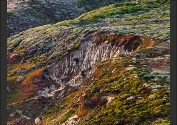 Erosion on rolling coastal hills, California