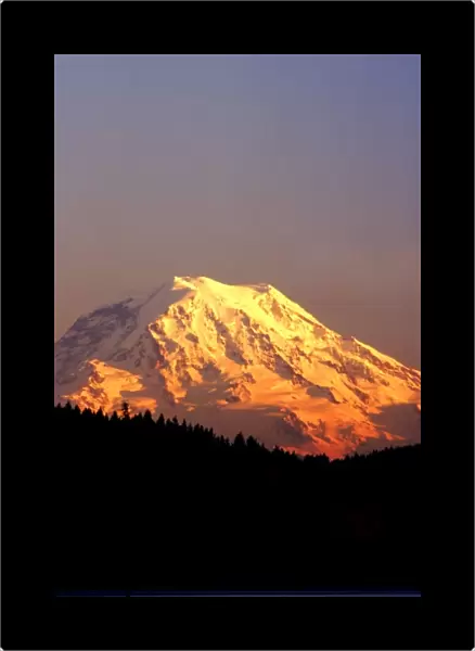 Mt. Rainier is bathed in the setting sun