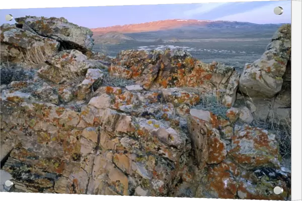 Wyoming. USA. Lichen-covered rock at sunrise. Great Divide Basin. Bull Springs Rim in distance